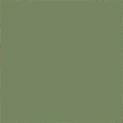 45'' Cotton Duck Canvas Solid Olive