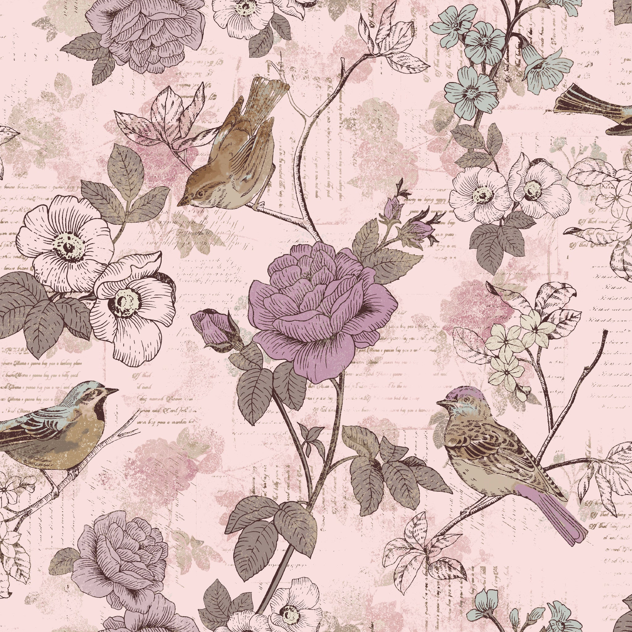 AVIARY-SS AY Words Bird Lavender 100% Cotton Print fabric