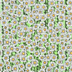 Stitch & Sparkle Maries Picnic-Daisy Light Green 100% Cotton Fabric 44" Wide, Quilt Crafts Cut by The Yard
