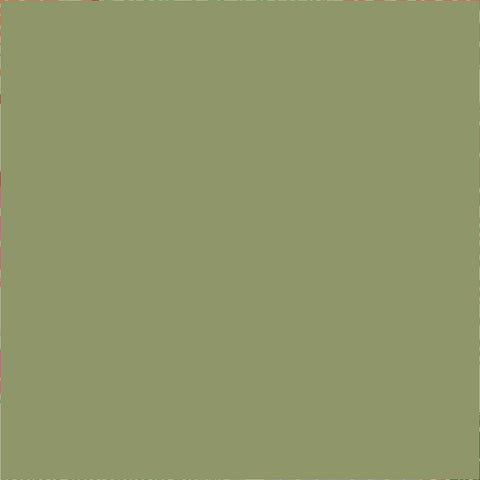 45'' Cotton Duck Canvas Solid Pistachio